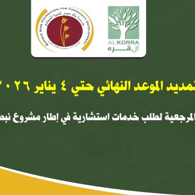 التقييم المؤسسي للجمعيات والمؤسسات الأهلية – الدورة الثانية